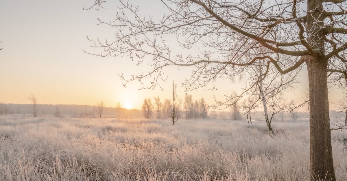 does-the-netherlands-have-national-parks