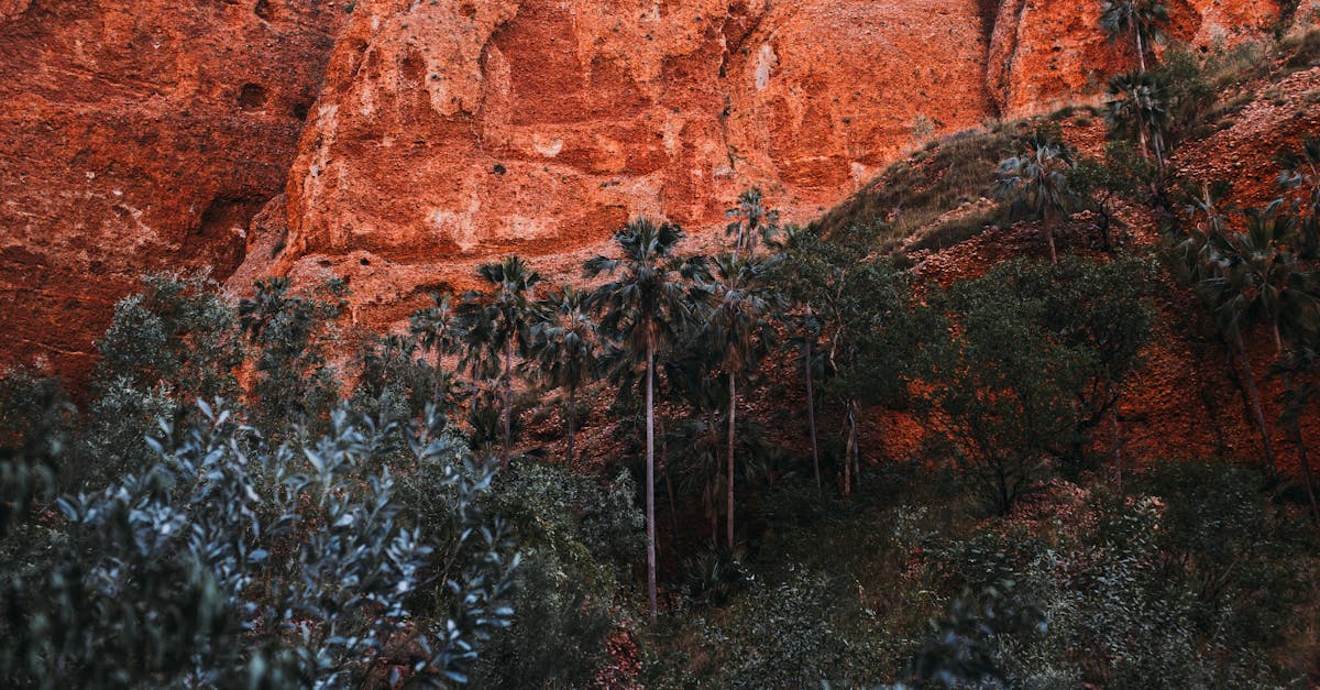 what-national-parks-have-cliff-dwellings