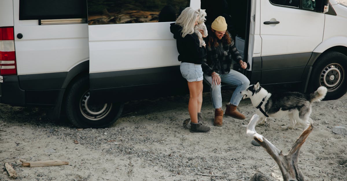 can-dogs-stay-in-rv-at-national-parks